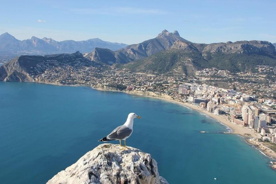 Appartement Arenal 6 - Plusholidays Calp